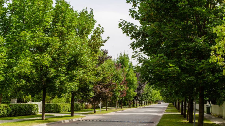 Готовый дом в Резиденции Бенилюкс