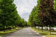 Готовый дом в Резиденции Бенилюкс