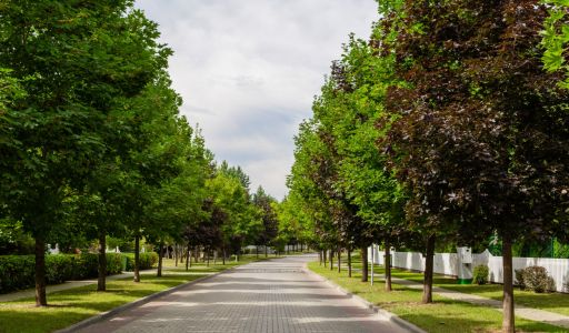 Готовый дом в Резиденции Бенилюкс