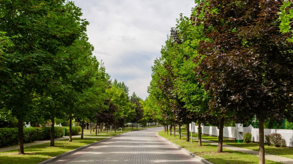 Готовый дом в Резиденции Бенилюкс