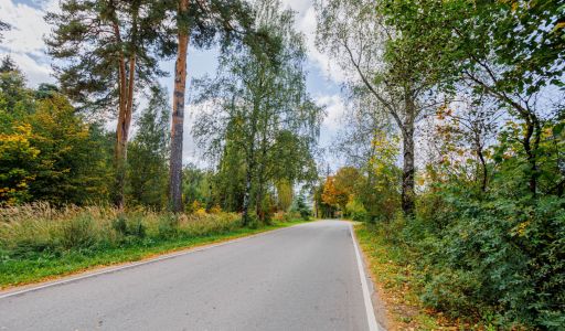 Веледниково