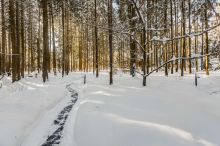 Резиденция в КП Таганьково-5
