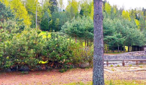 Участок в КП Красновидово-2