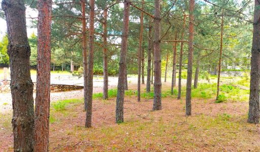 Участок в КП Красновидово-2