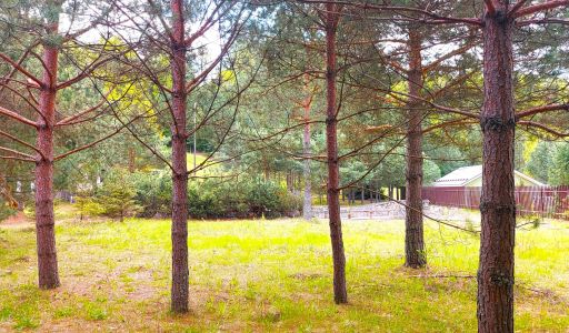 Участок в КП Красновидово-2