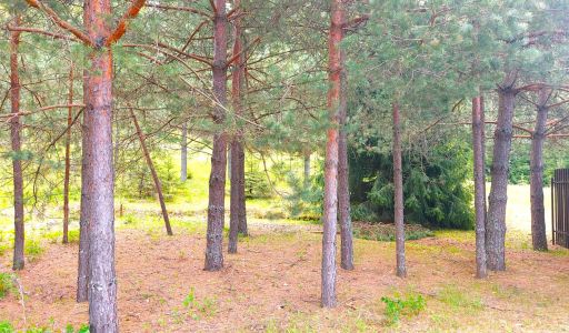 Участок в КП Красновидово-2