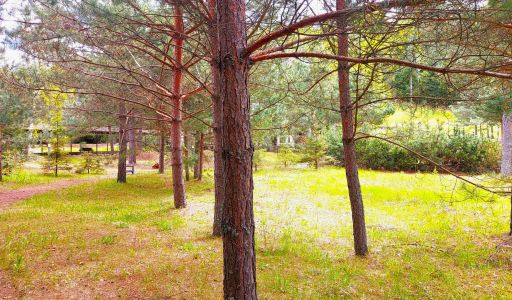 Участок в КП Красновидово-2