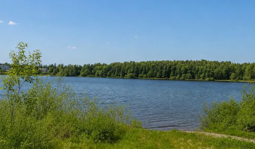 Стильный дом КП Приозерье
