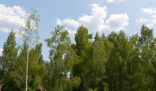 Стильный дом КП Приозерье