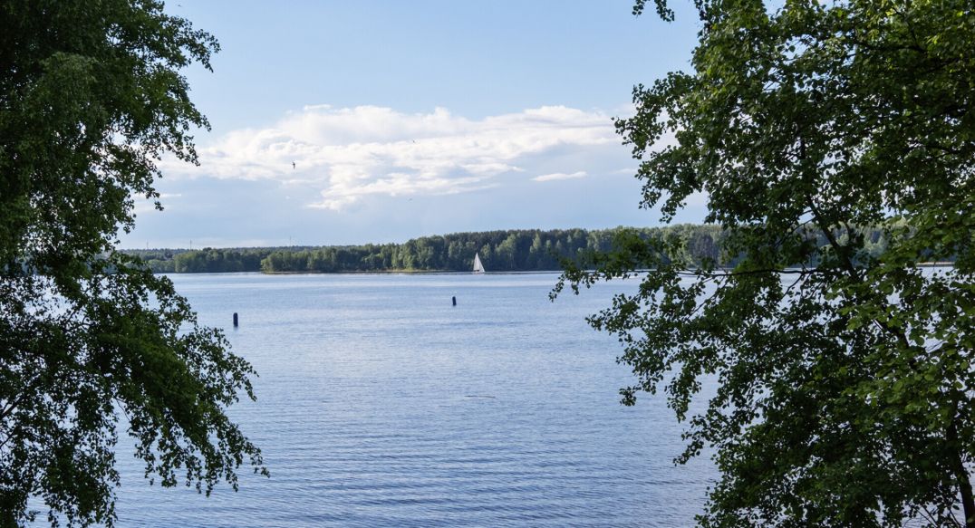 Болтино