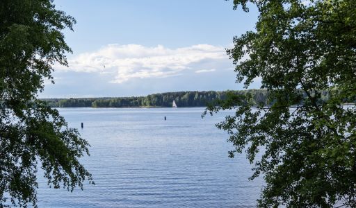 Болтино