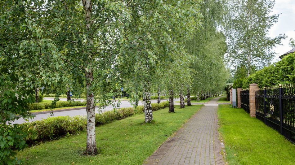 Новый дом у озера КП Гринфилд