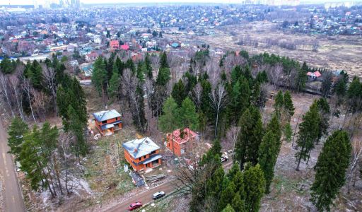 Участок с соснами в Сходне