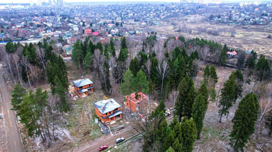 Участок с соснами в Сходне