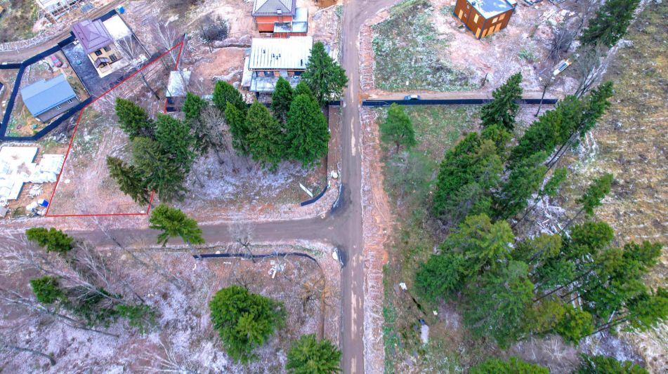 Участок с соснами в Сходне