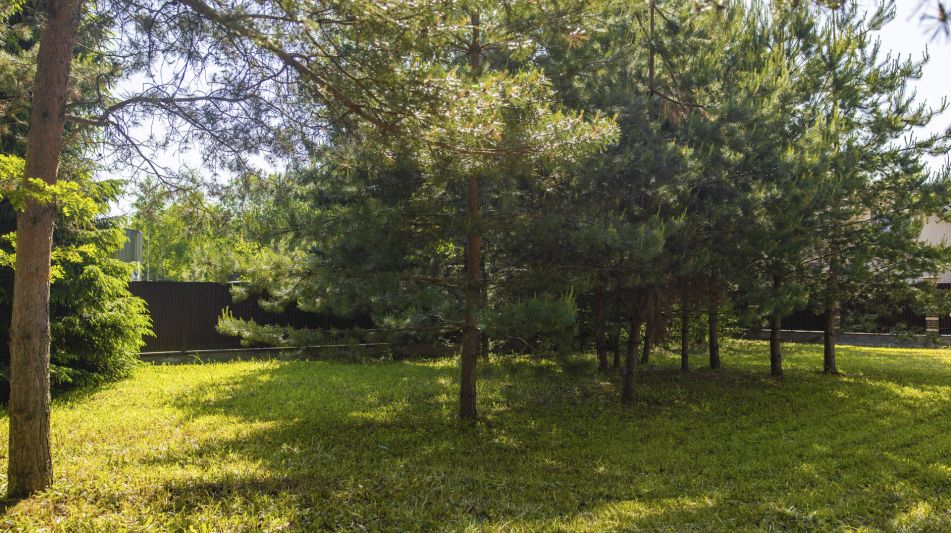 Дом в ТСН Успенское