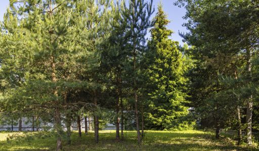 Дом в ТСН Успенское