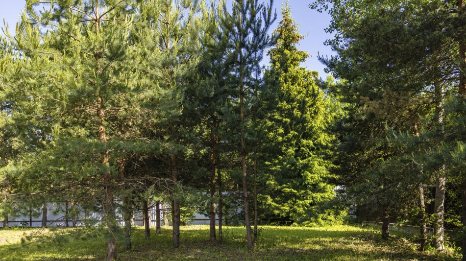 Дом в ТСН Успенское