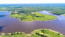 Участок в Александровке