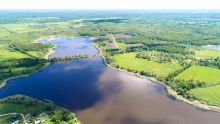 Участок в Александровке