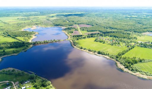 Участок в поселке Александровка
