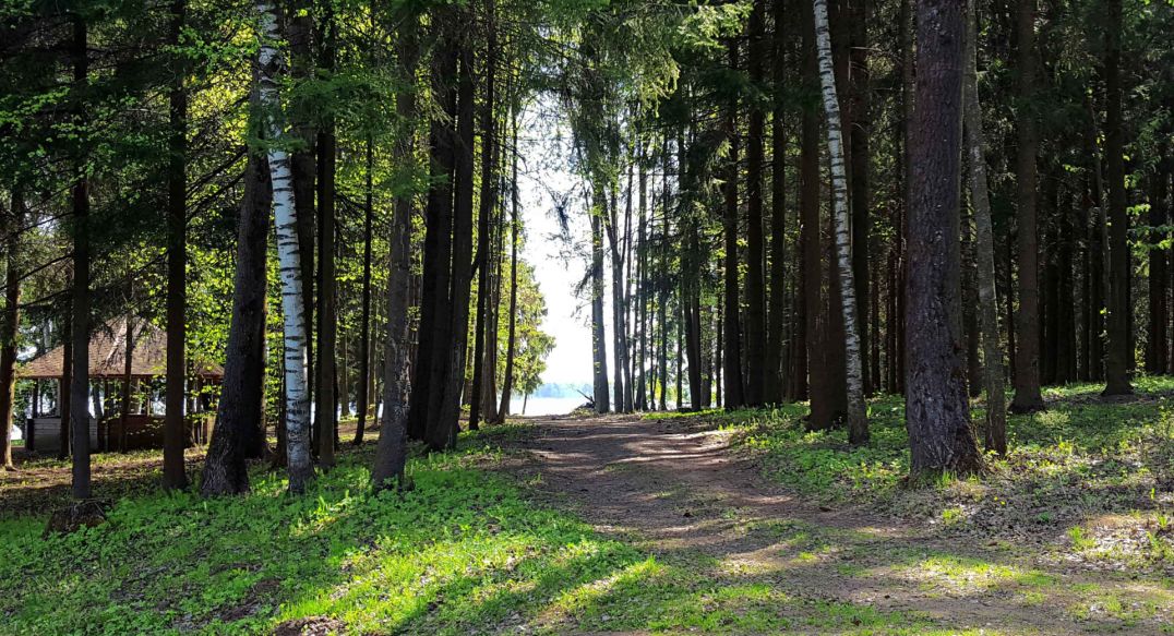 Трудовая Северная