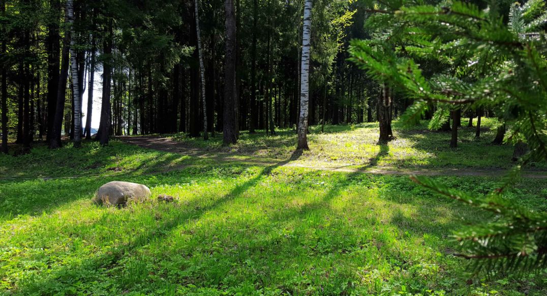 Трудовая Северная