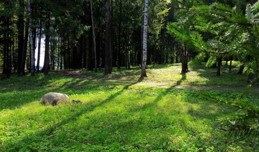 Трудовая Северная