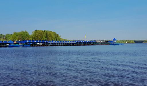 Трудовая Северная