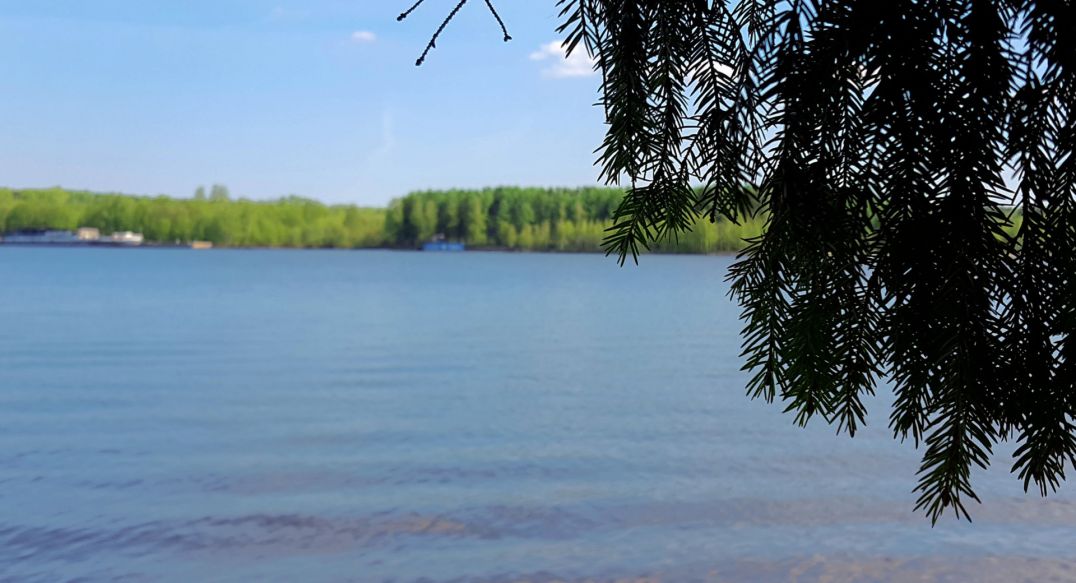 Трудовая Северная