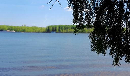 Трудовая Северная