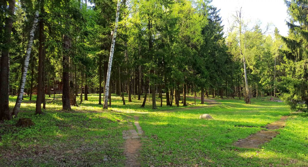 Трудовая Северная