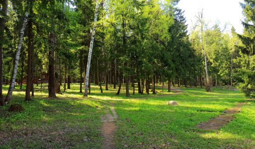 Трудовая Северная