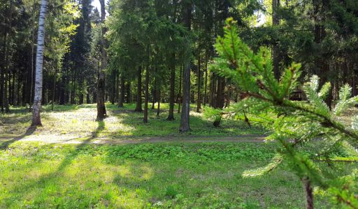 Трудовая Северная