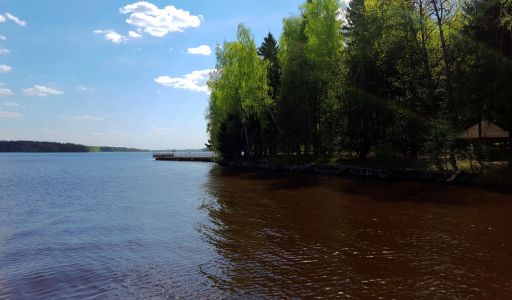 Трудовая Северная