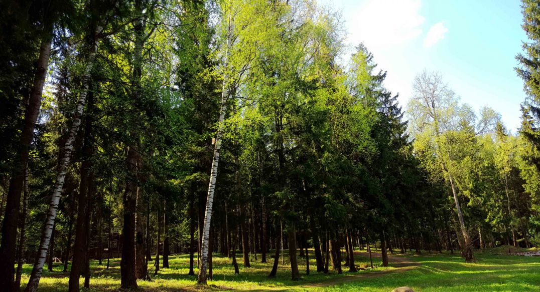 Трудовая Северная