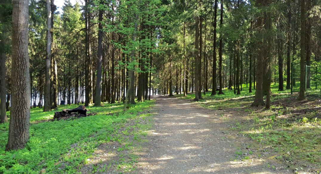 Трудовая Северная