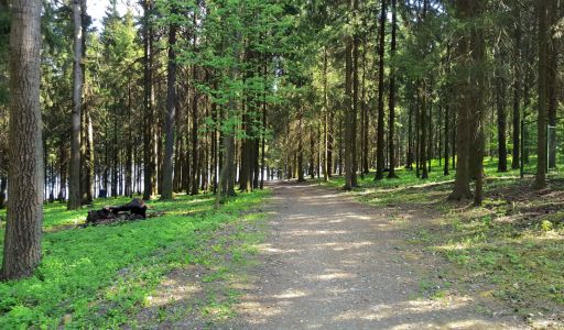 Трудовая Северная