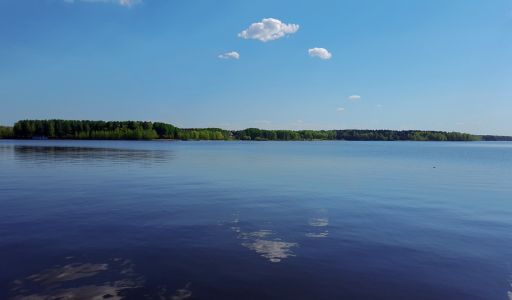 Трудовая Северная