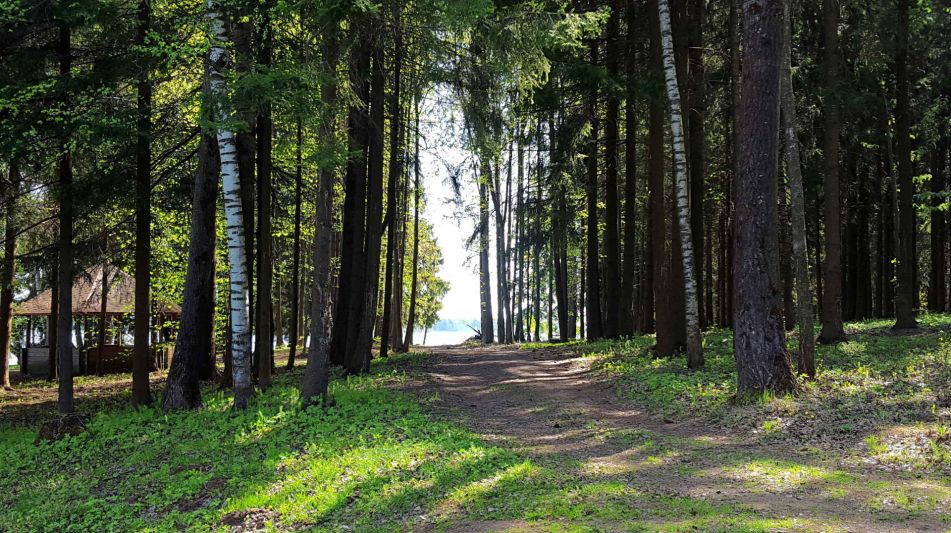 Участок в п. Трудовая Северная