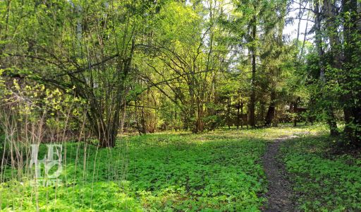Участок в п. Трудовая Северная