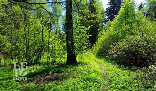 Участок в п. Трудовая Северная