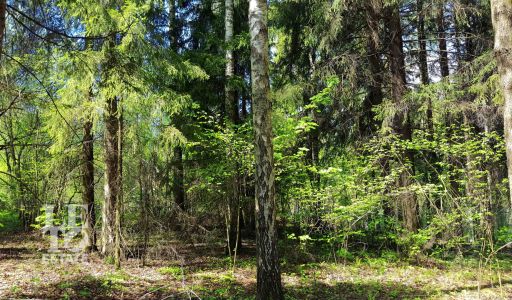 Участок в п. Трудовая Северная