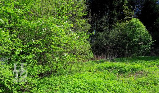 Участок в п. Трудовая Северная