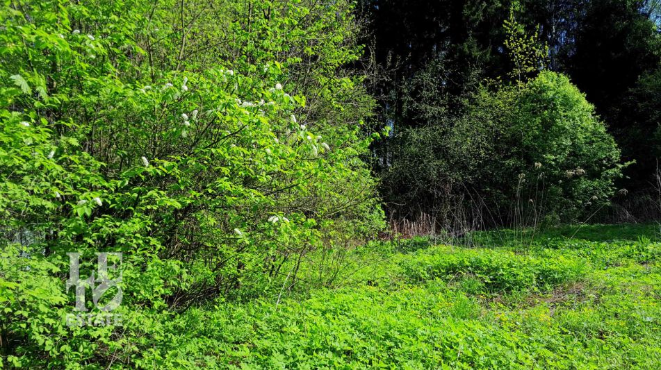 Участок в п. Трудовая Северная