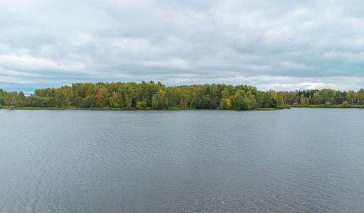 Участок на первой линии Витенево