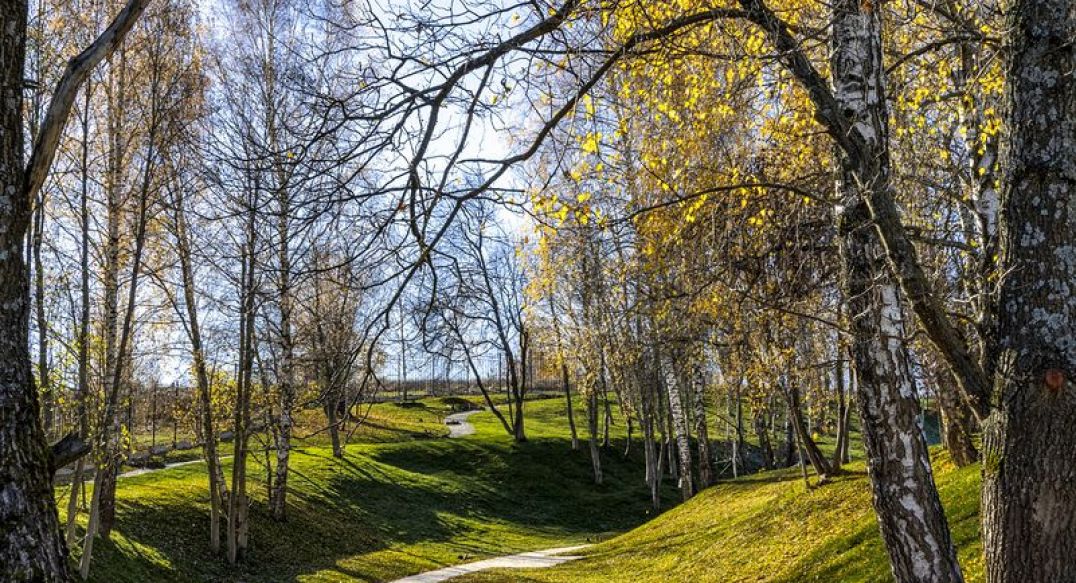 Кристал Истра