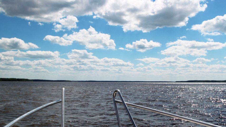 Участок в Александровке