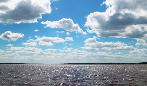 Участок в Александровке