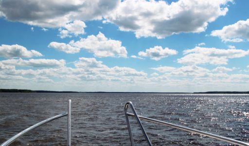 Участок в Александровке